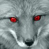 Monochrome Fox With Red Eyes Paint By Numbers