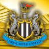 Newcastle United Logo Paint By Numbers