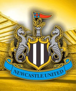 Newcastle United Logo Paint By Numbers