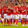 Nottingham Forest Football club Paint By Numbers