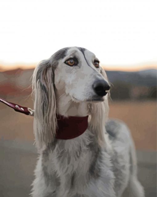 Saluki Pet Dog Paint By Numbers