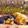 Sleeping Dog And Cat And Duck Paint By Numbers