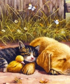 Sleeping Dog And Cat And Duck Paint By Numbers