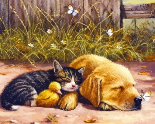 Sleeping Dog And Cat And Duck Paint By Numbers