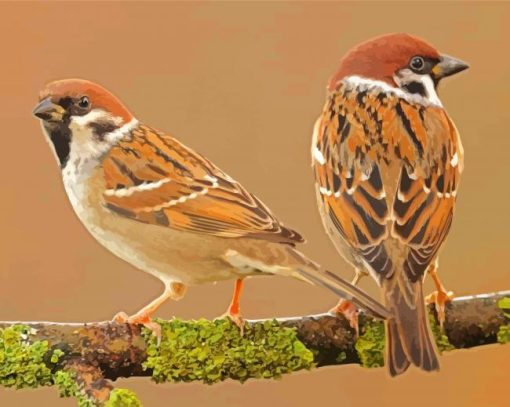 Sparrows In Tree Paint By Numbers