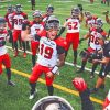 Stampeders Football Team Paint By Numbers