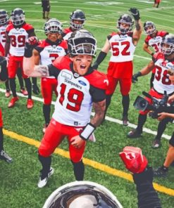 Stampeders Football Team Paint By Numbers