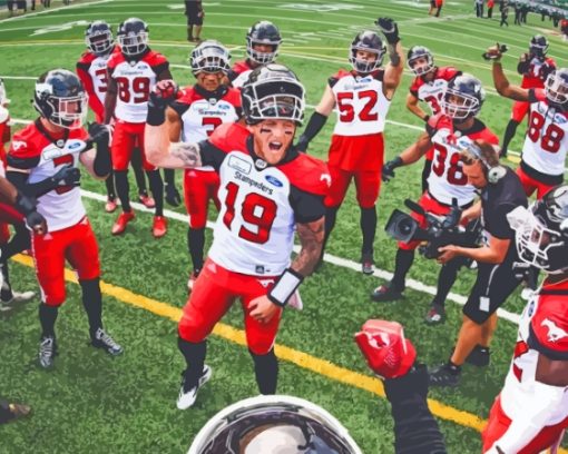 Stampeders Football Team Paint By Numbers