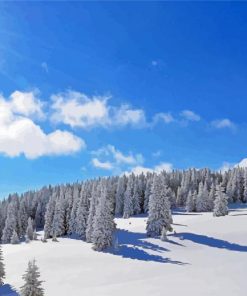 Sun Over The Snowy Forest Paint By Numbers