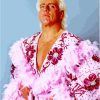 Young Ric Flair Wrestler Paint By Numbers