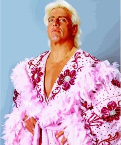 Young Ric Flair Wrestler Paint By Numbers