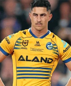 Aesthetic Parramatta Eels Paint By Numbers