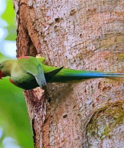 Alexandrine Parakeet On A Tree Paint By Numbers