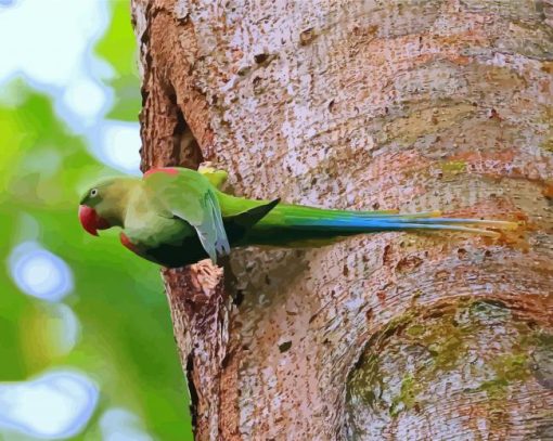 Alexandrine Parakeet On A Tree Paint By Numbers