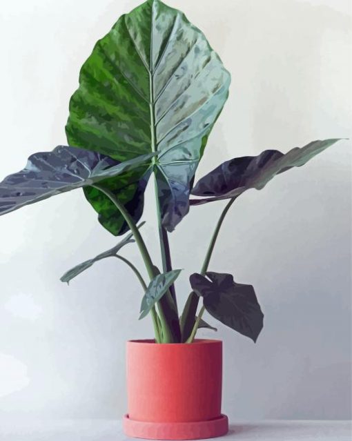 Alocasia In Pink Pot Paint By Numbers