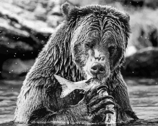 Bear Eating Fish In Water Paint By Numbers