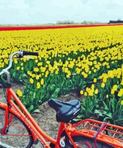 Bicycle And Tulips Field Paint By Numbers