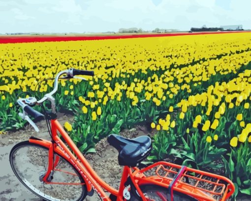 Bicycle And Tulips Field Paint By Numbers