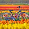 Bicycle And Tulips Flowers Paint By Numbers