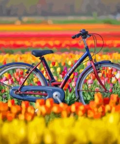 Bicycle And Tulips Flowers Paint By Numbers