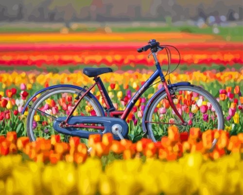 Bicycle And Tulips Flowers Paint By Numbers