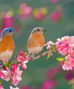 Birds In A Garden Paint By Numbers