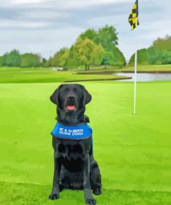 Black Golf Dog Paint By Numbers