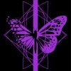 Black And Purple Butterfly Illustration Paint By Numbers