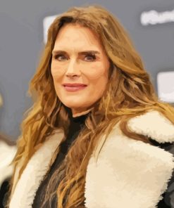 Brooke Shields Celebrity Paint By Numbers