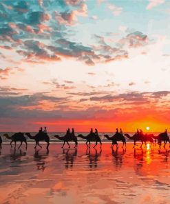 Camels At Broome Beach With Sunset View Paint By Numbers