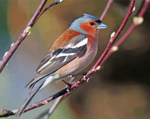 Chaffinch On Stick Paint By Number