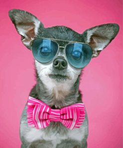 Chihuahua With Glasses And A Bow Tie Paint By Numbers