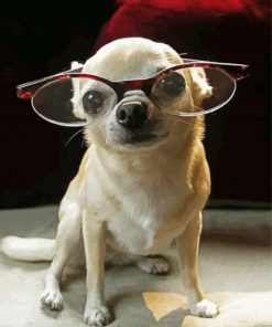 Chihuahua With Glasses Paint By Numbers