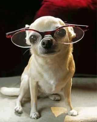 Chihuahua With Glasses Paint By Numbers