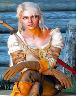 Cirilla Witcher Serie Character Paint By Numbers