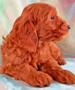 Dark Red Miniature Goldendoodle Paint By Numbers