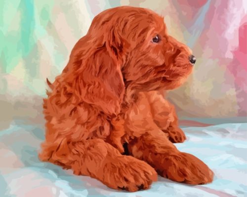 Dark Red Miniature Goldendoodle Paint By Numbers