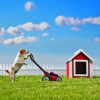 Dog Mowing Grass Paint By Numbers