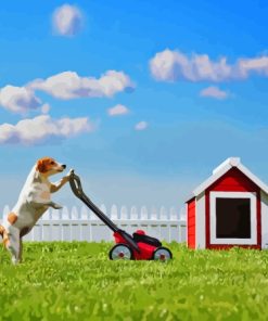 Dog Mowing Grass Paint By Numbers