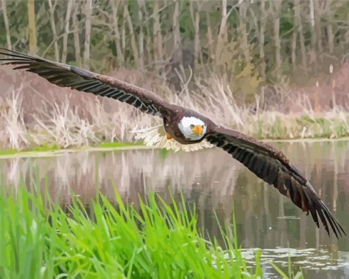 Eagle On The River Paint By Numbers