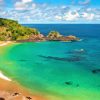 Fernando De Noronha Beach Brazil Paint By Numbers