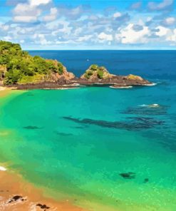 Fernando De Noronha Beach Brazil Paint By Numbers