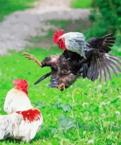 Fighting Cock Paint By Numbers