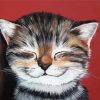 Happy Cat Paint By Numbers