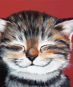 Happy Cat Paint By Numbers