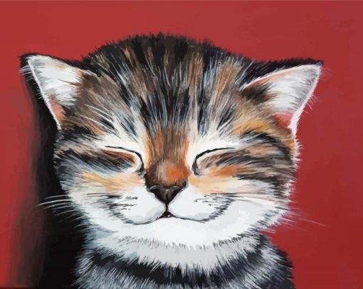 Happy Cat Paint By Numbers