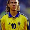 Henrik Larsson Player Paint By Numbers