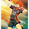 Shoyo Hinata Manga Anime Paint By Numbers