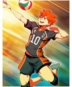 Shoyo Hinata Manga Anime Paint By Numbers