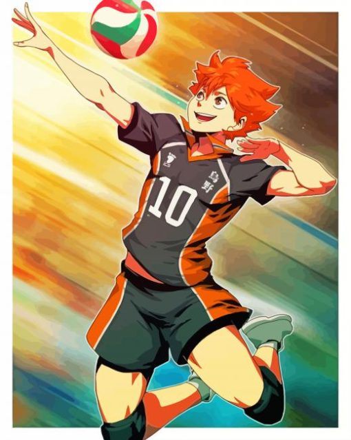 Shoyo Hinata Manga Anime Paint By Numbers